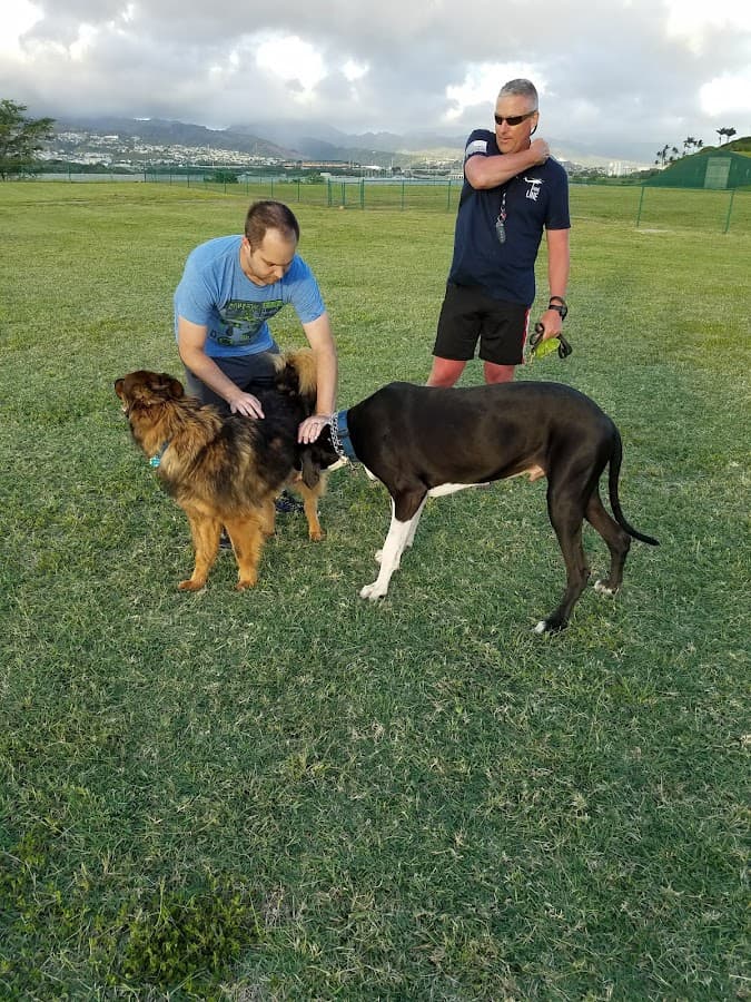 Ford Island Dog Park