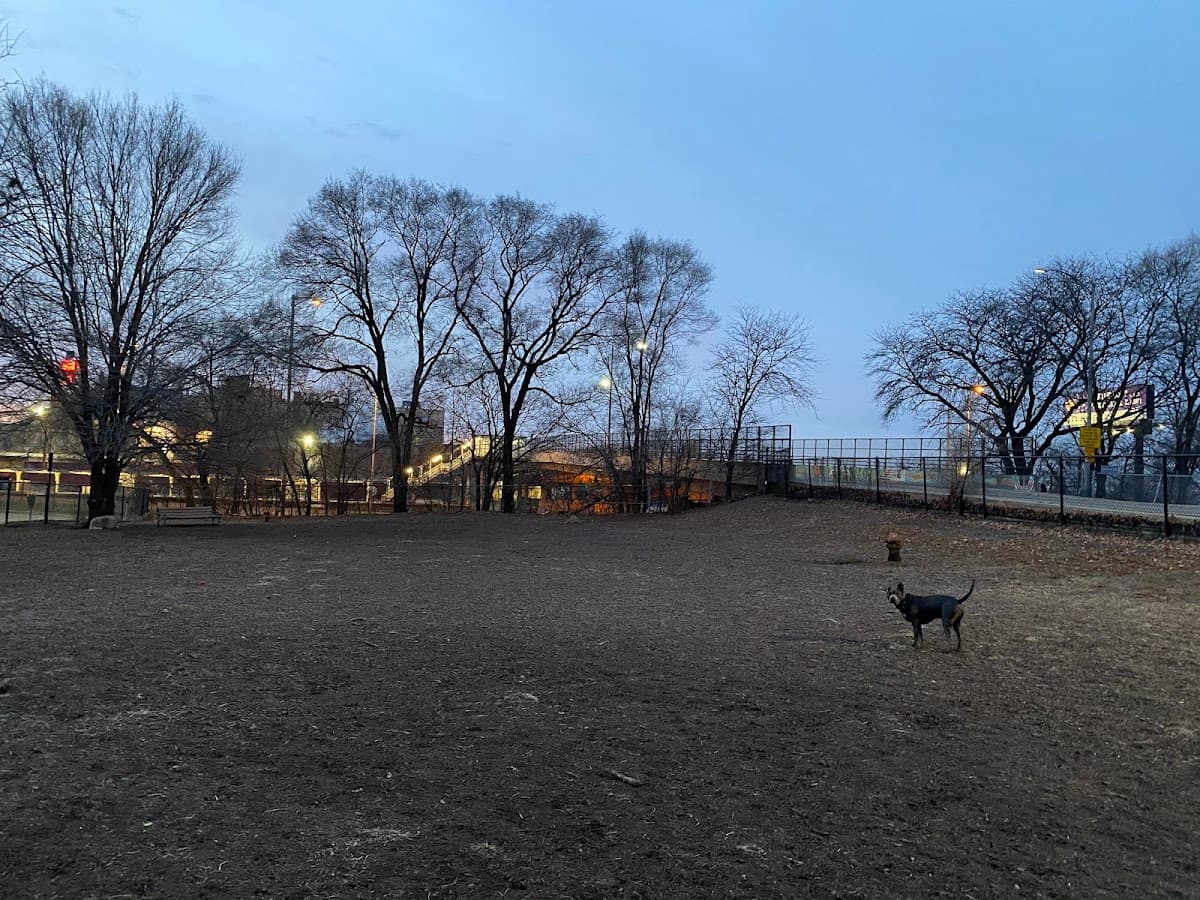 Forest Bark Dog Park