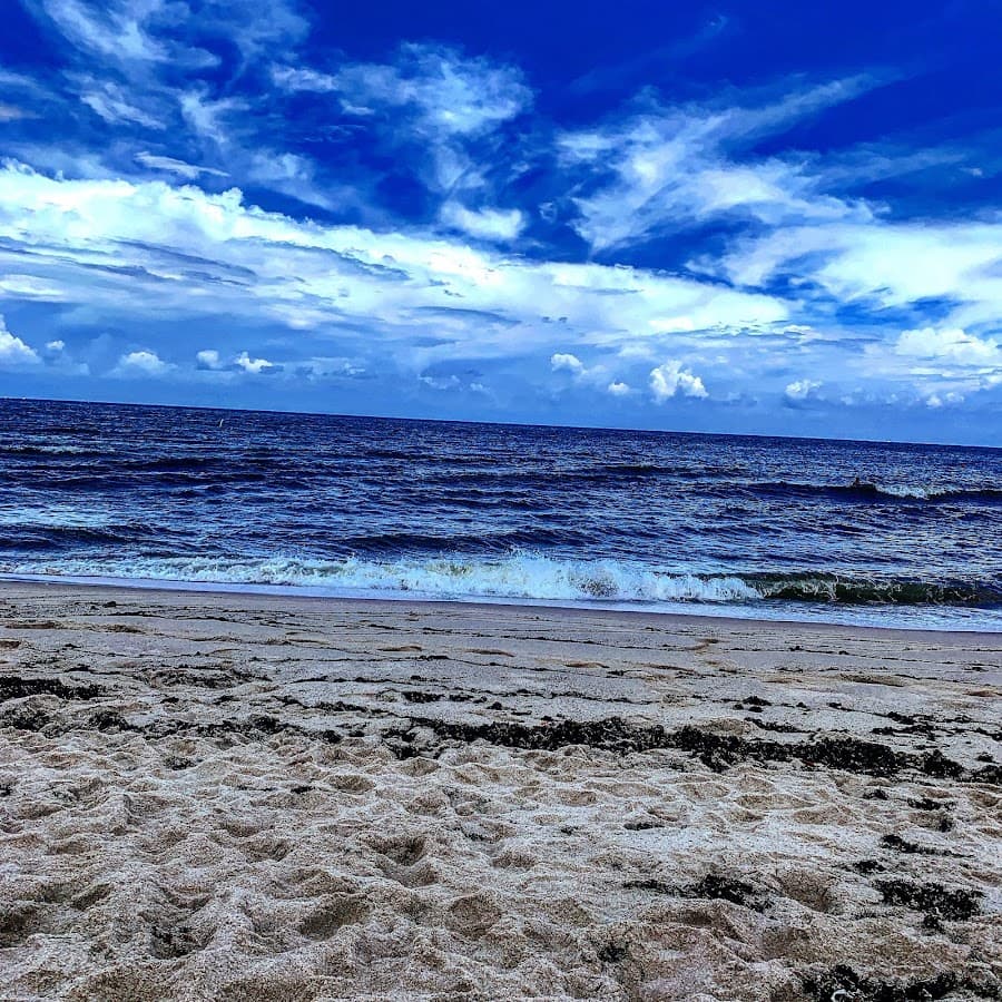 Fort Lauderdale Dog Beach
