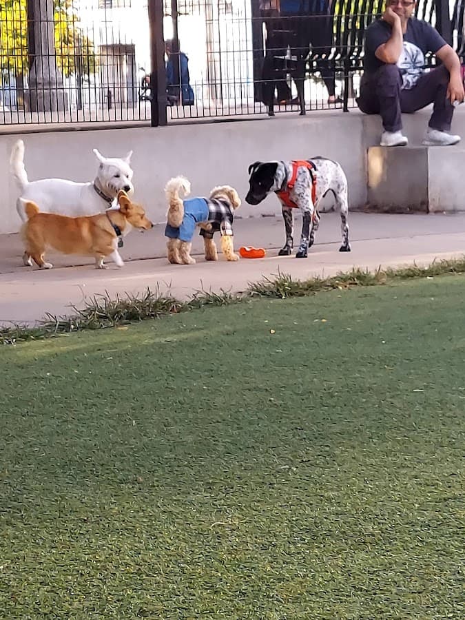 Fred Anderson Dog Friendly Area
