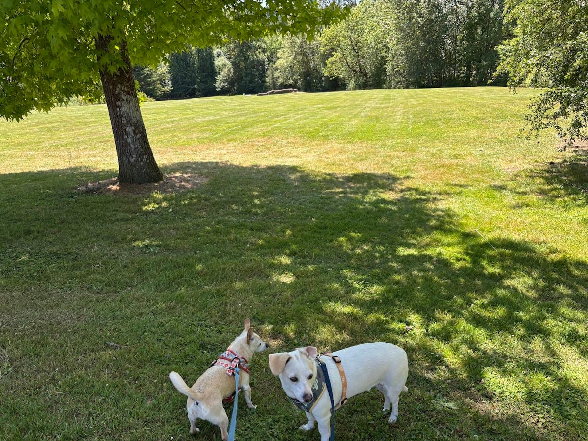 Gabriel Off-Leash Dog Park