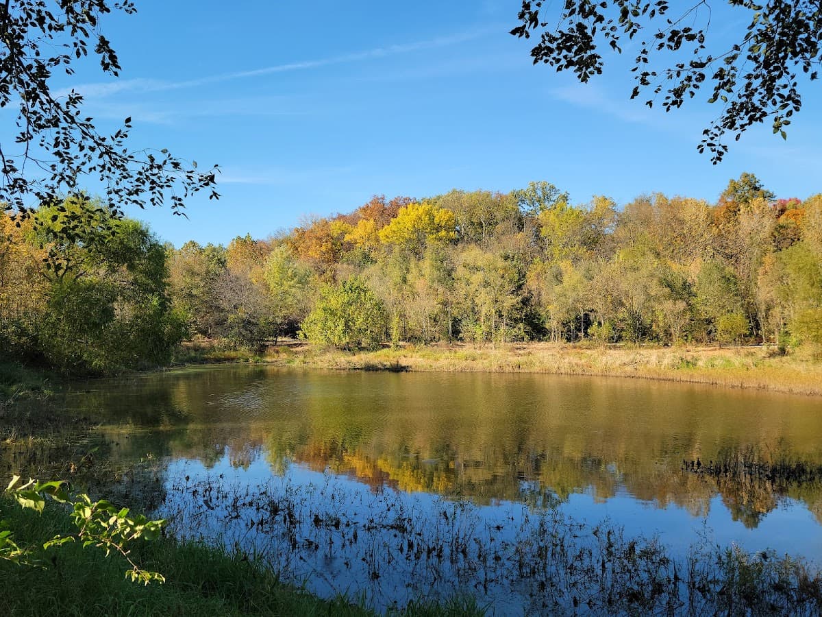 Garth Nature Area