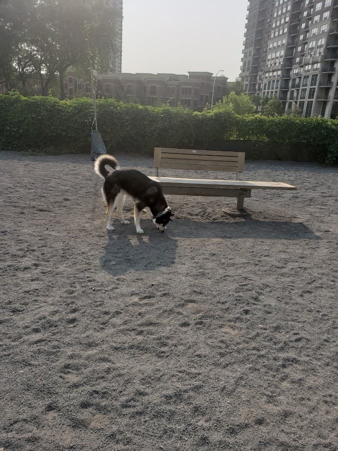 Gateway Dog Park