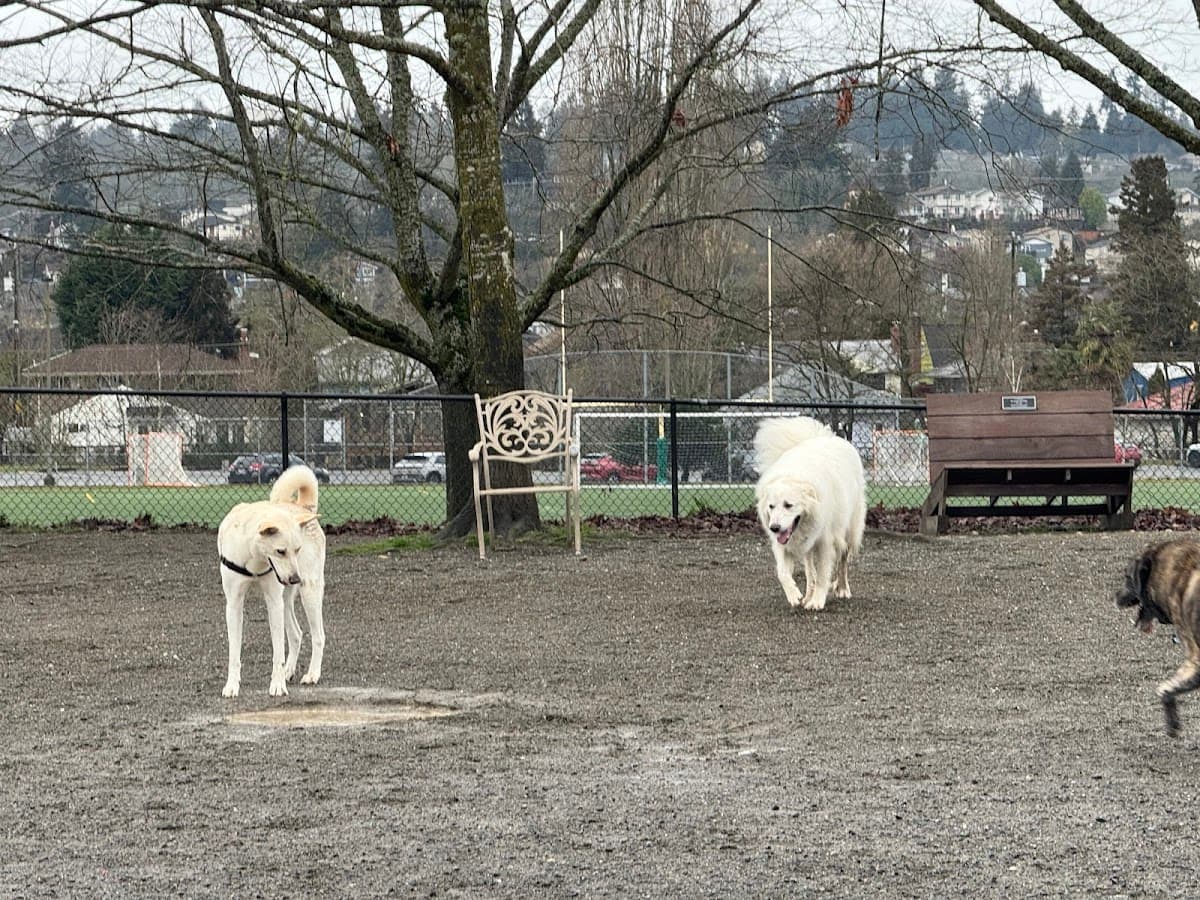 Genesee Dog Park