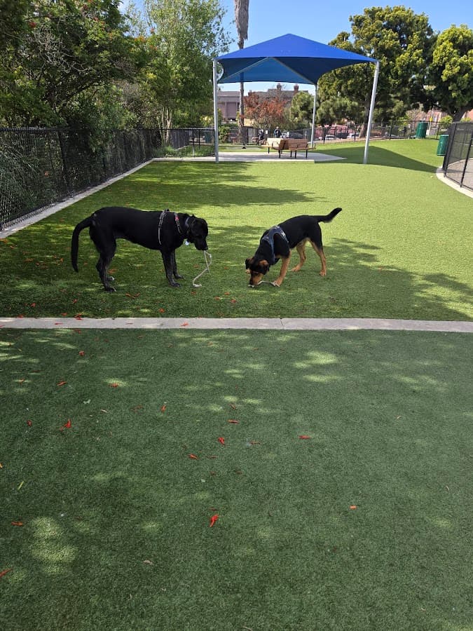 Glen Alla Dog Park