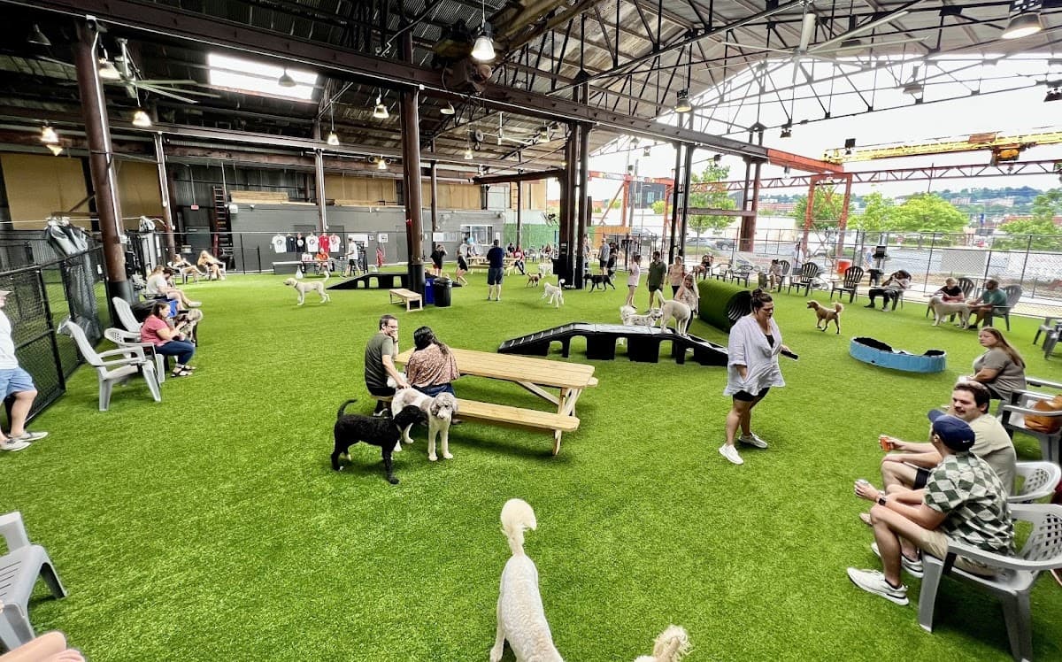 Good Dog Hotel + Bar + Park