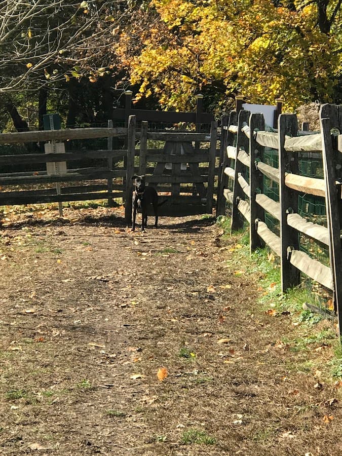 Grove Run Dog Park