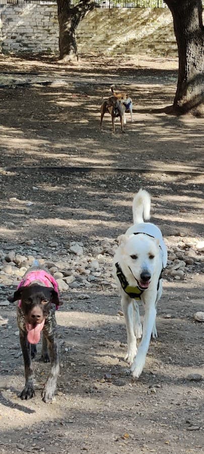 Hancock Dog Park