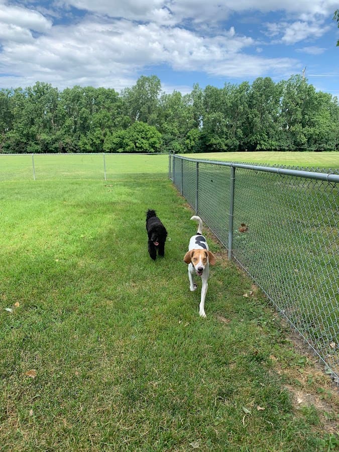 Happy Tails Dog Park - Summit