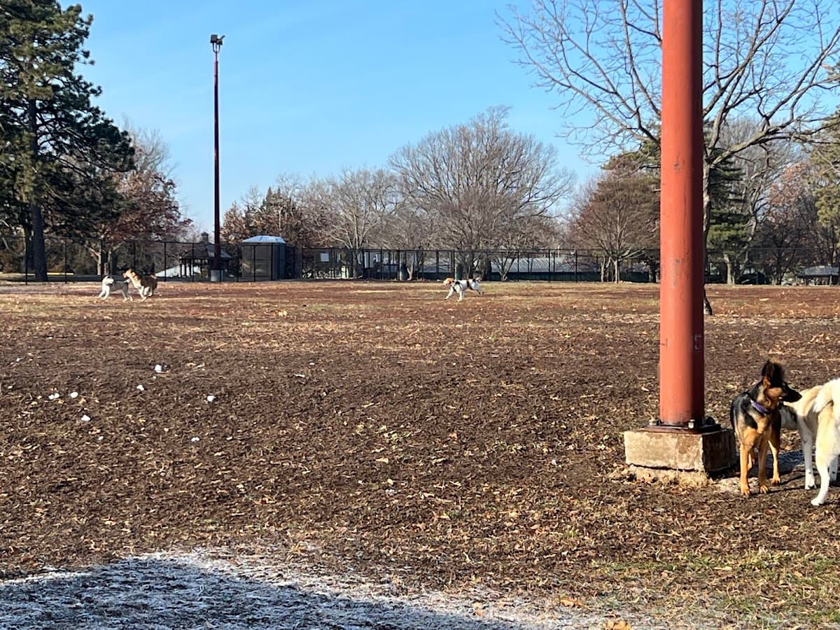 Hills Pet Nutrition Bark Park