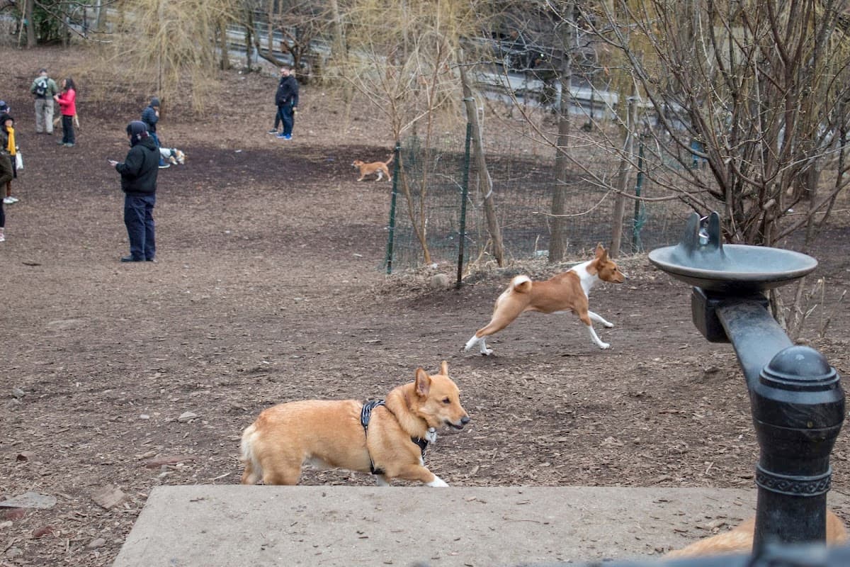 Hillside Dog Park