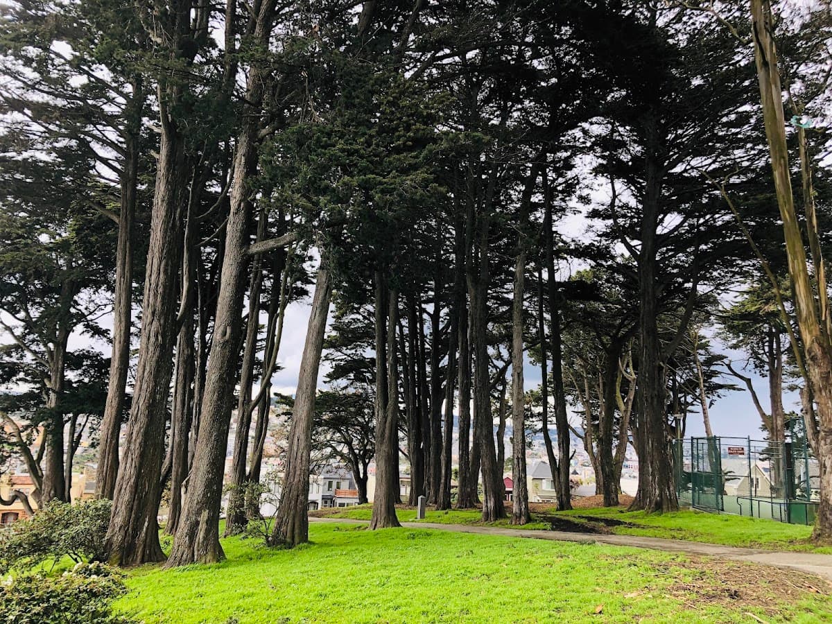 Holly Park