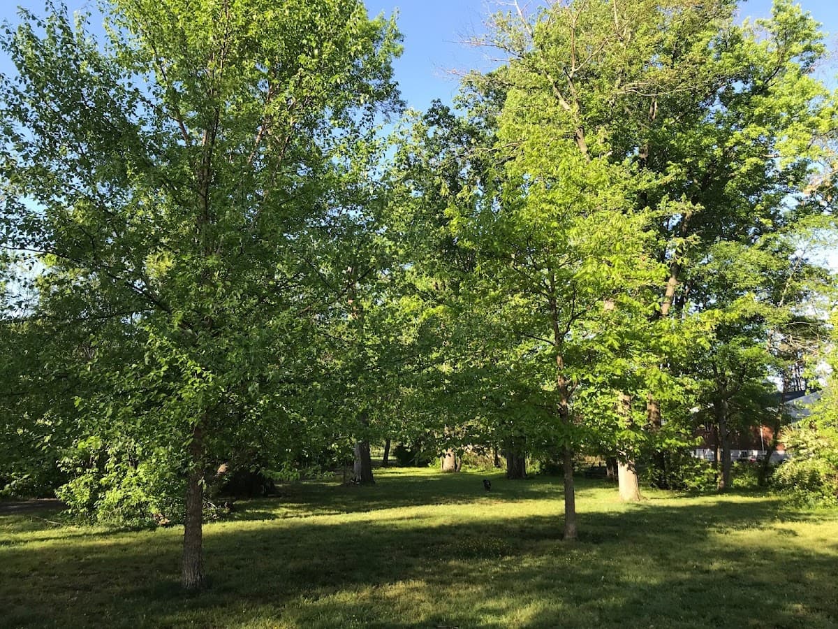 Holmes Run Dog park