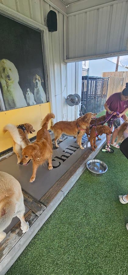 Houston Bark Park and Daycare