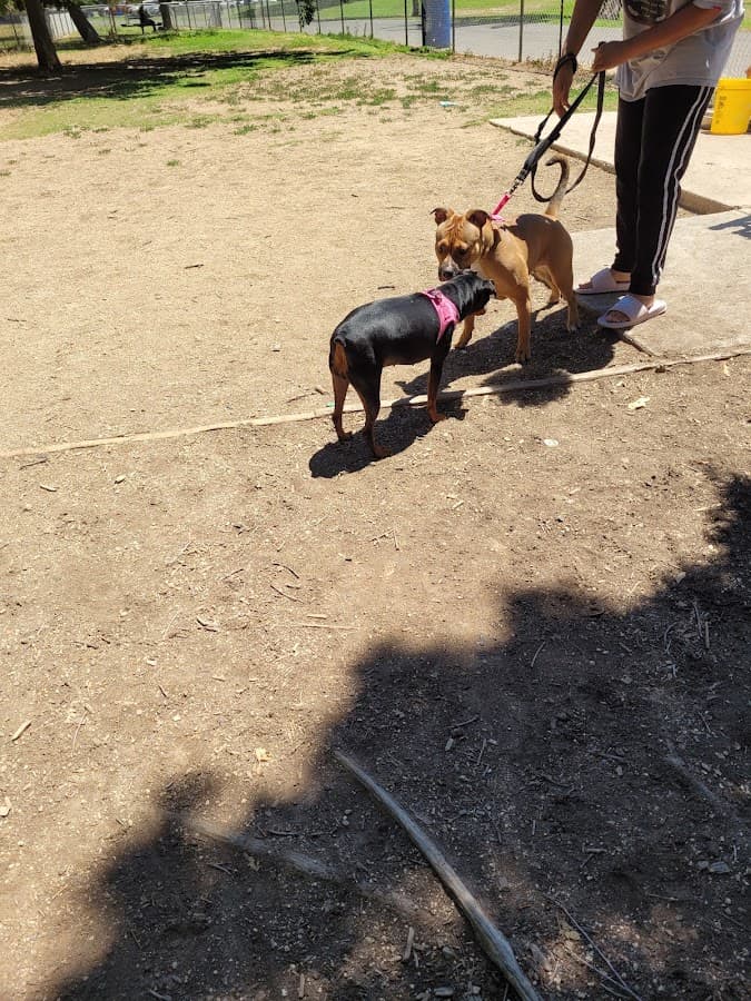 Howe Ave Park Off Leash Dog Park
