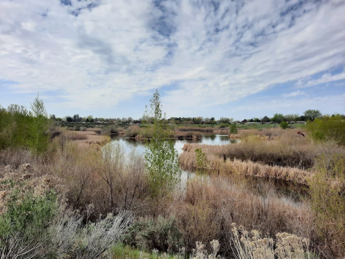 Hyatt Hidden Lakes Reserve