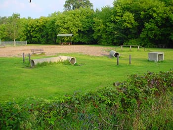Jean & Carl Frank Canine Park