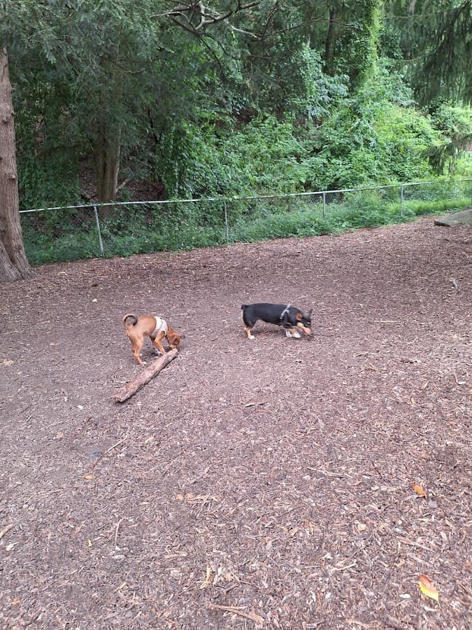 Joplin Dog Park