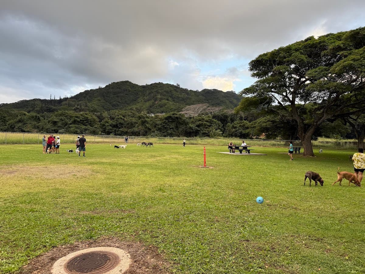Kaneohe Dog Park