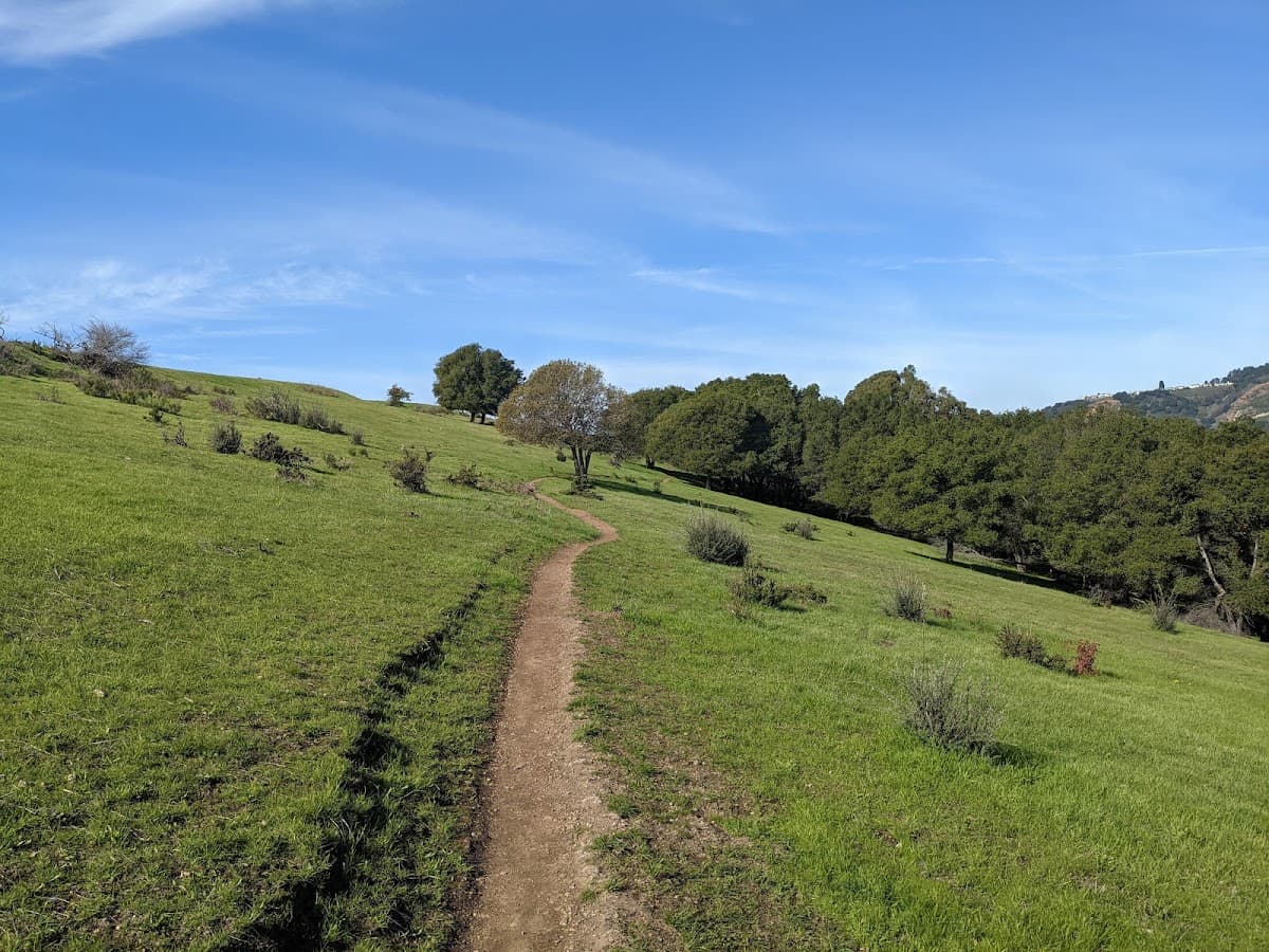King Estate Open Space Park