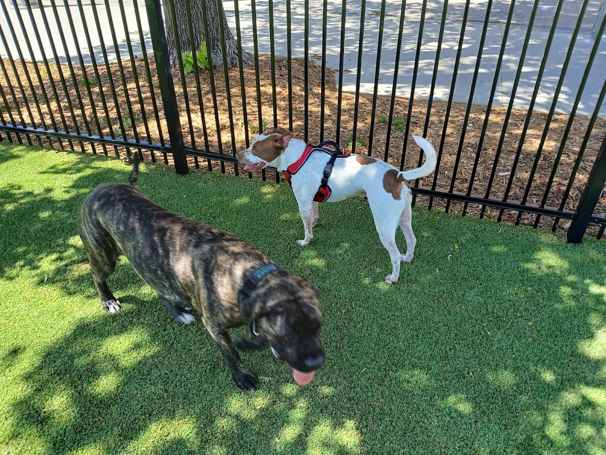 Kirby Dog Park at Fort Sod