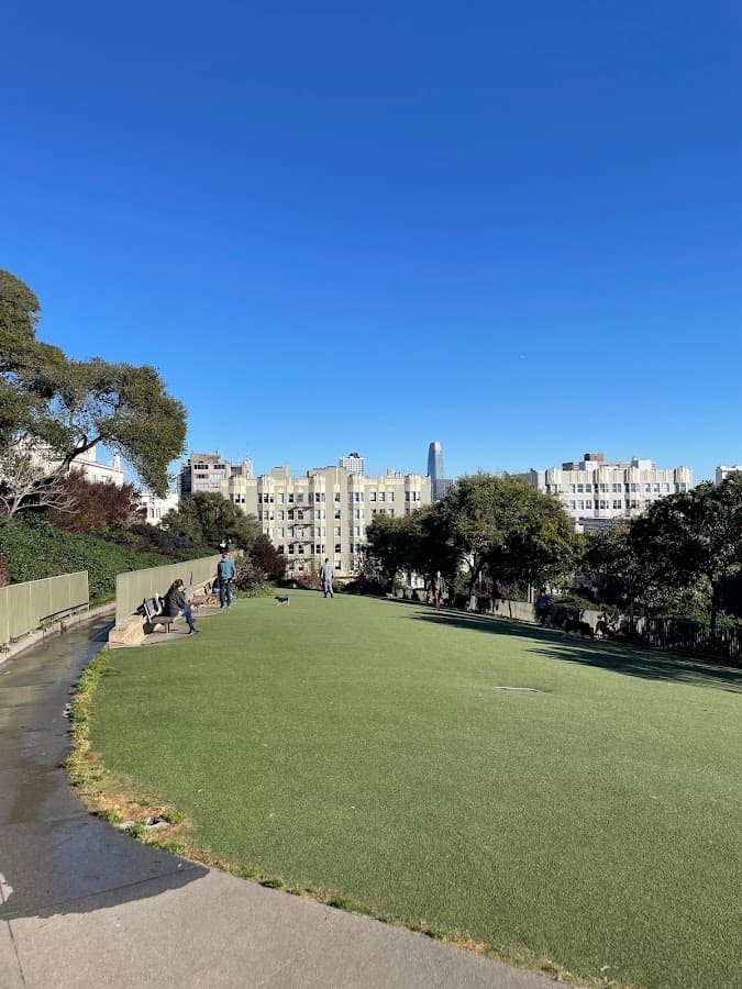 Lafayette Park Dog Play Area