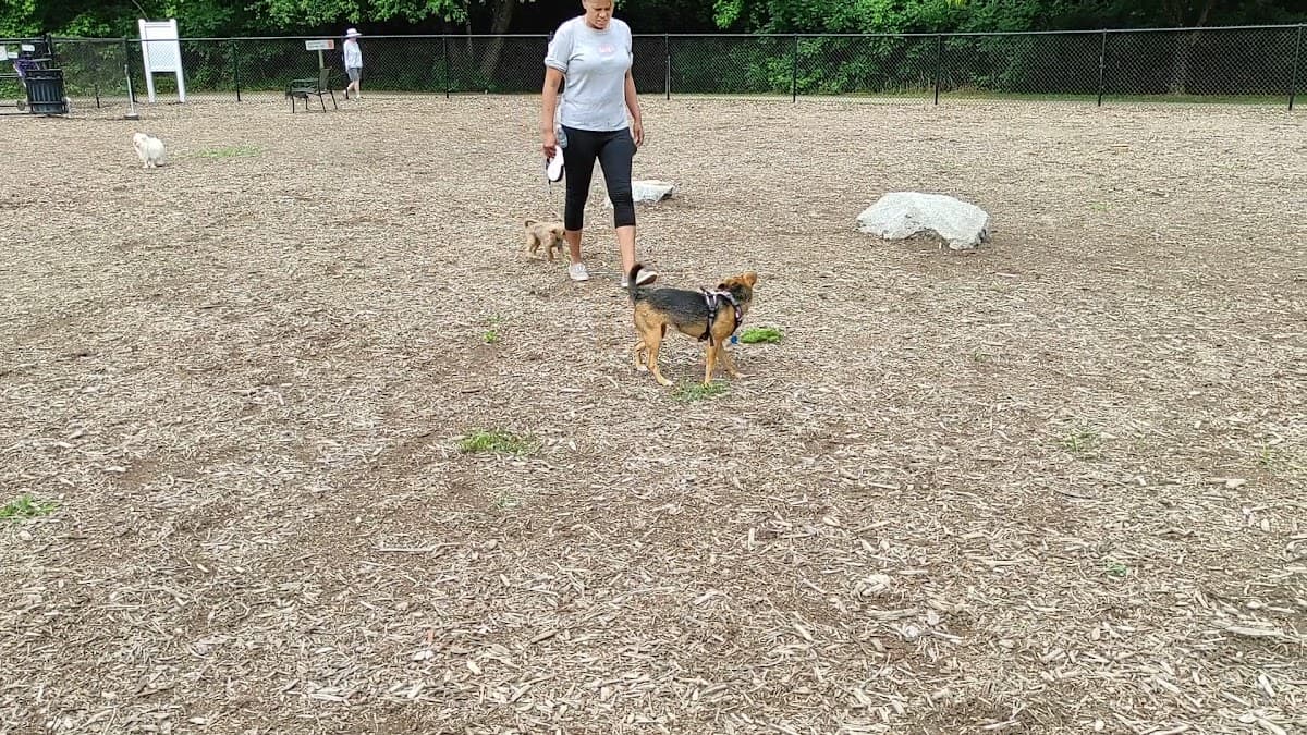 Lake Benson Dog Park