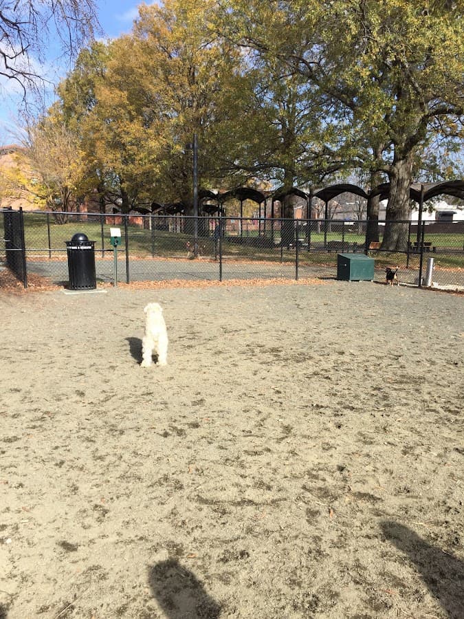 Lansburgh Dog Park