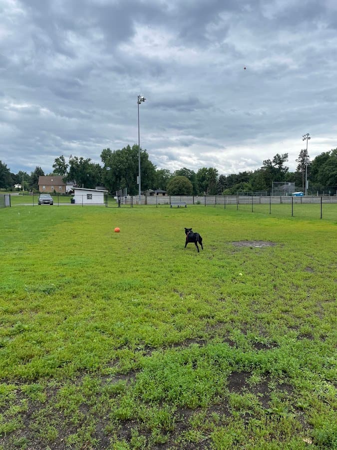 Lauderdale Dog Park