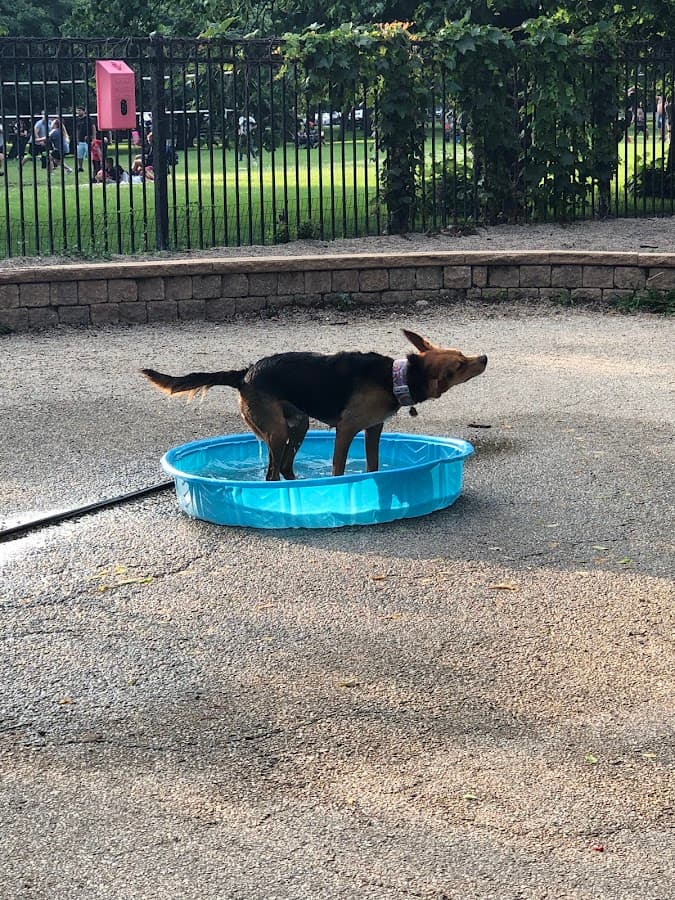 Lincoln Park Puptown - dog playground