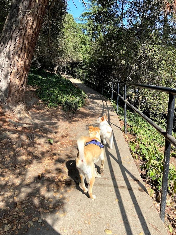 Linda Ave Dog Park