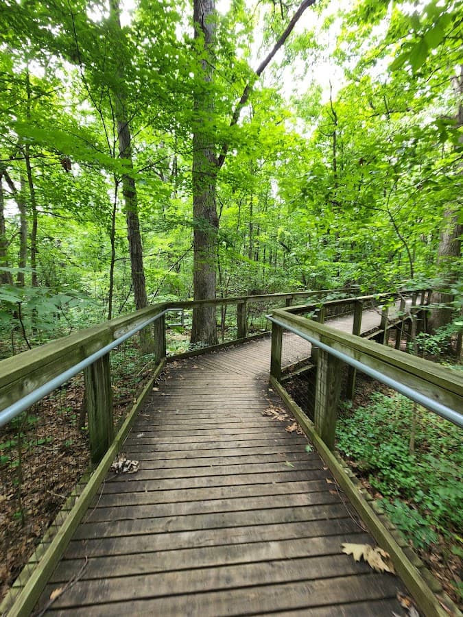 Lindenwood Nature Preserve