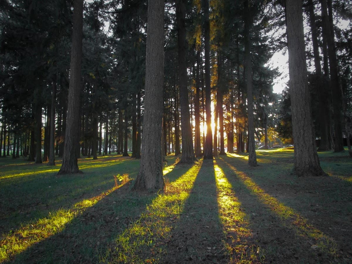 Lynchwood Park