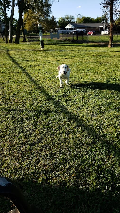 Lynnewood Gardens Dog Park