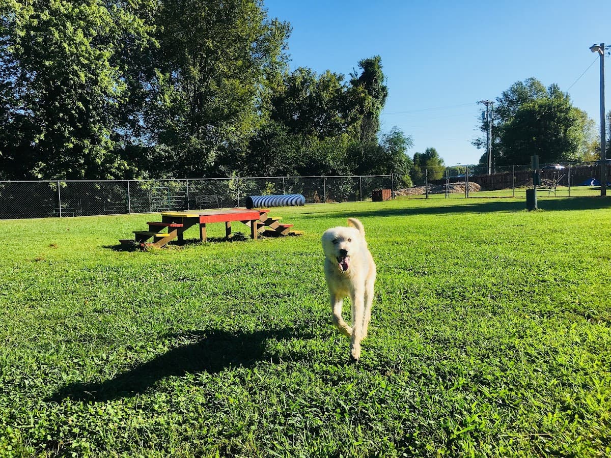 Maggie's Bark Park