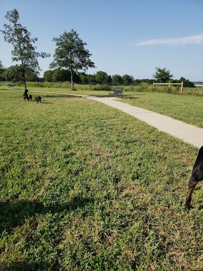 Mahoney Park Dog Run