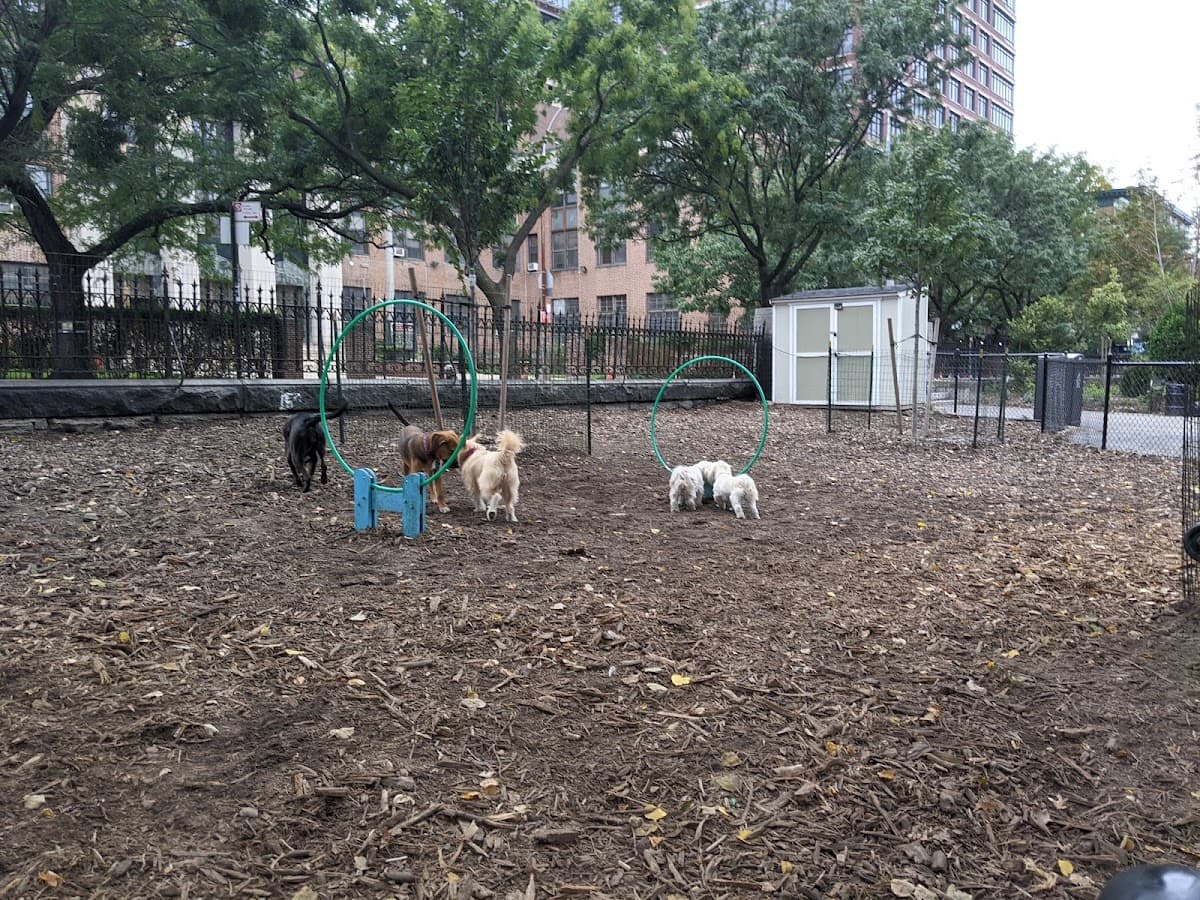 Marcus Garvey Dog Run