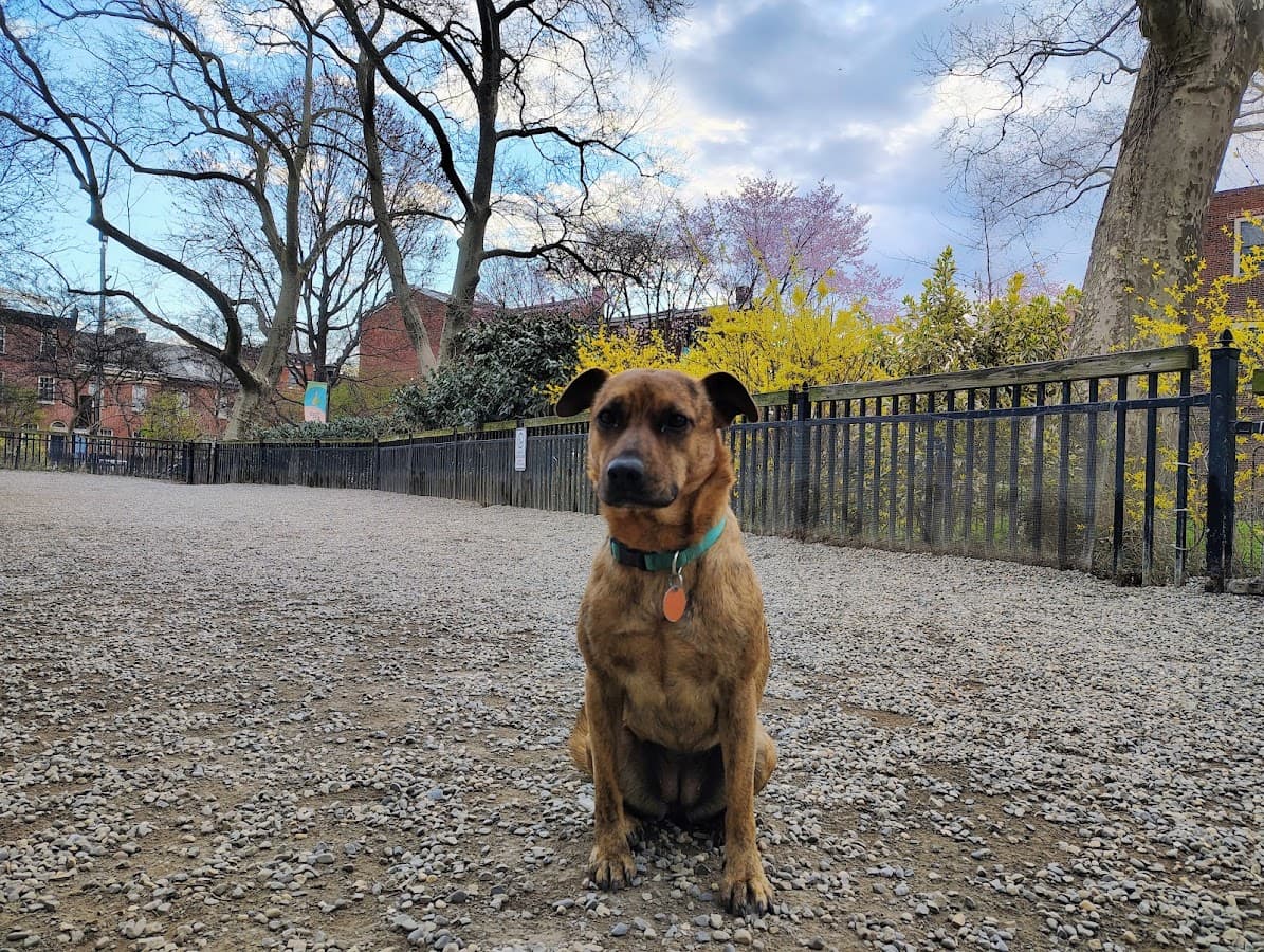 Mario Lanza Dog Park