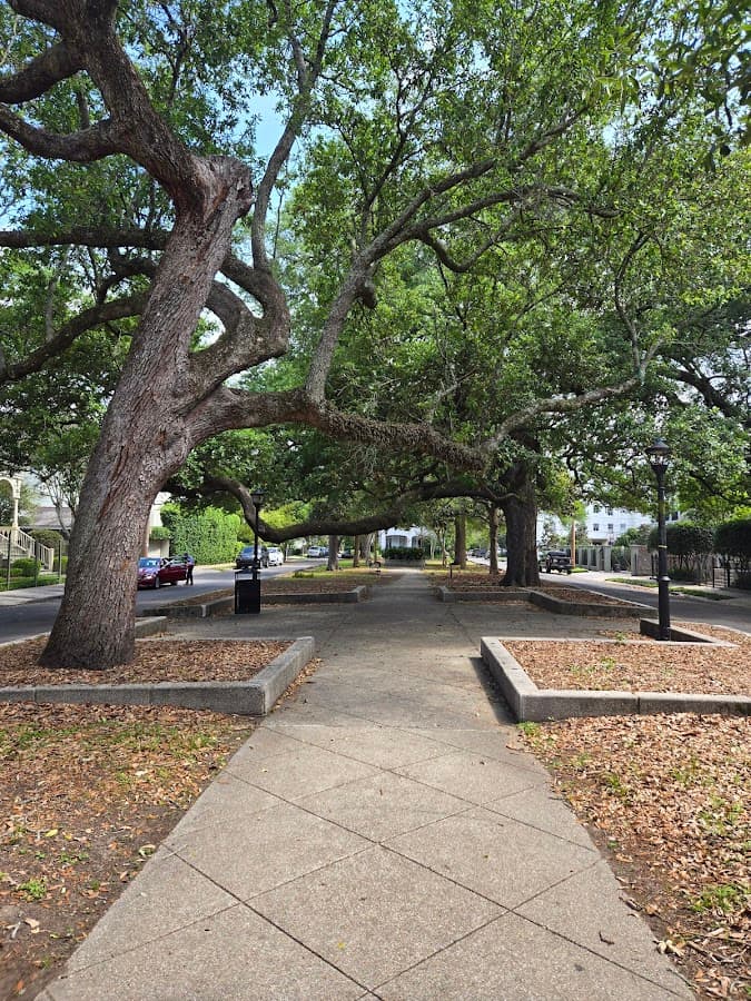 McDonough Zachery Park