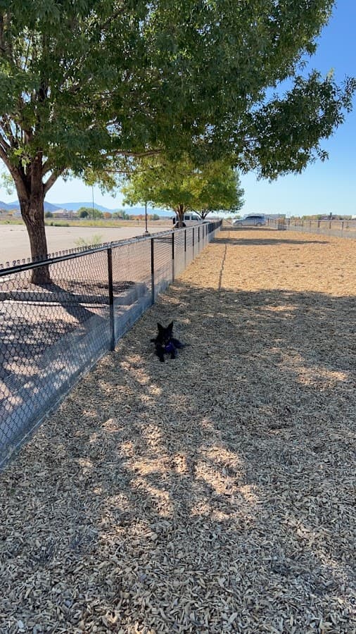 Mesa del Sol Dog Park