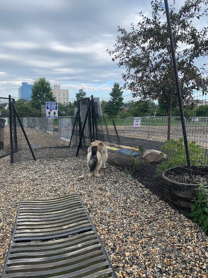 Mill River Bark Park