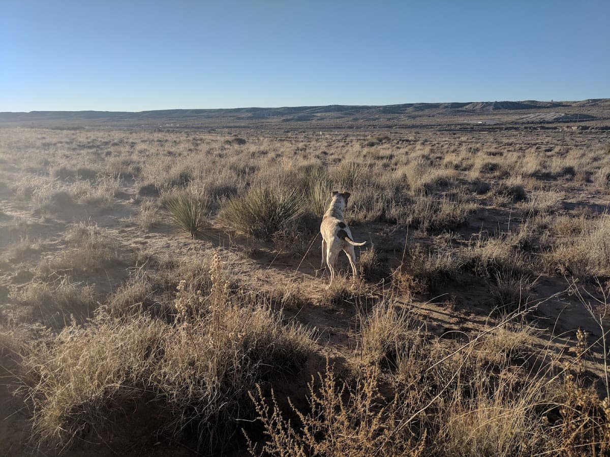 Montessa Dog Park