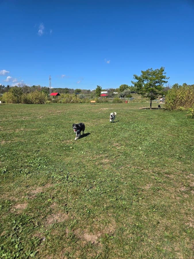 Mossakowski Family Dog Park