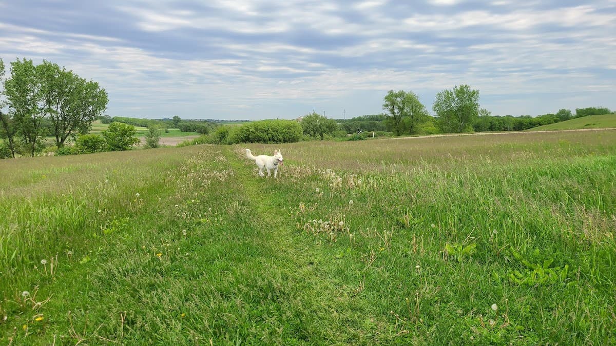 MRD Dog Exercise Area