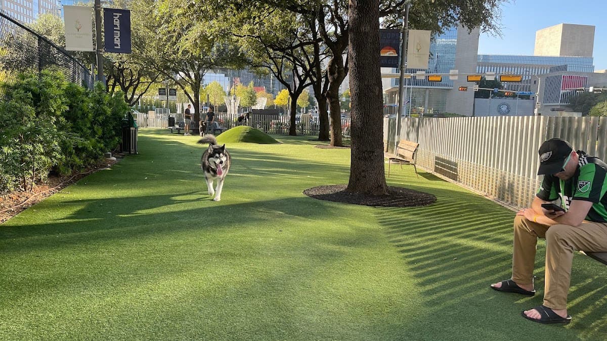 My Best Friend's Park