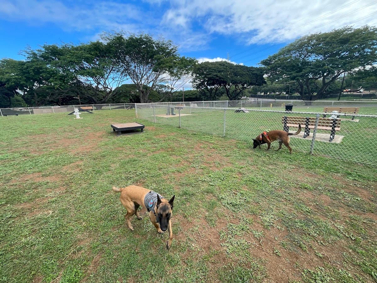 Nemo Dog Park -NavFac