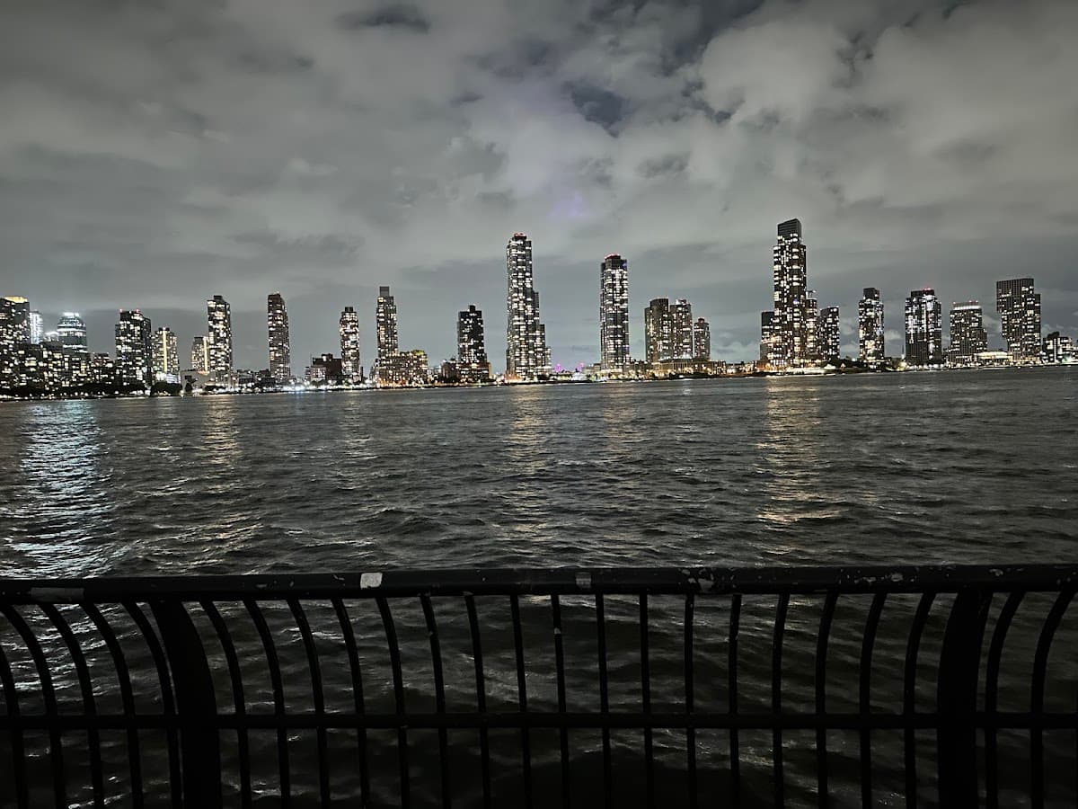 New Wave Pier Dog Run
