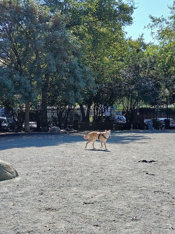 Ninth Street Park