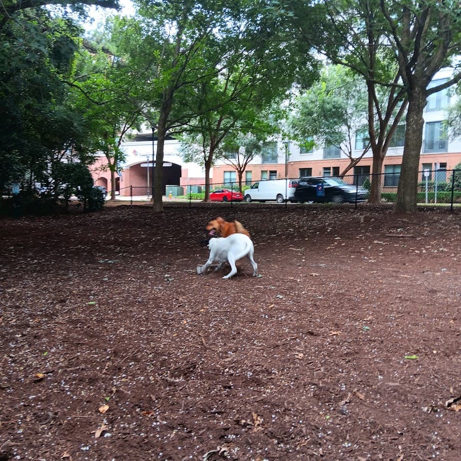 North Hills Dog Park