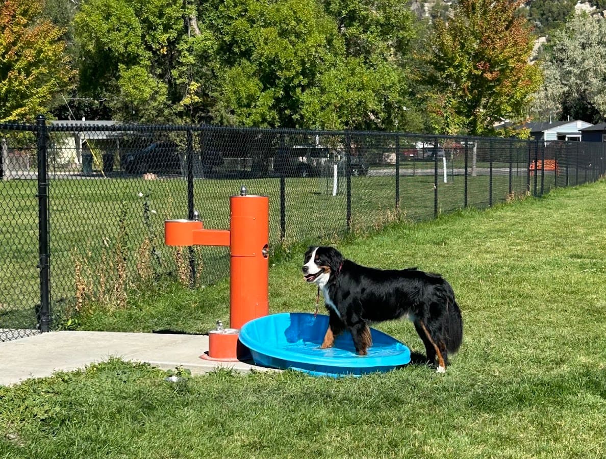 North Park Dog Park